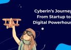 Cyberin’s Journey: From Startup to Digital Powerhouse