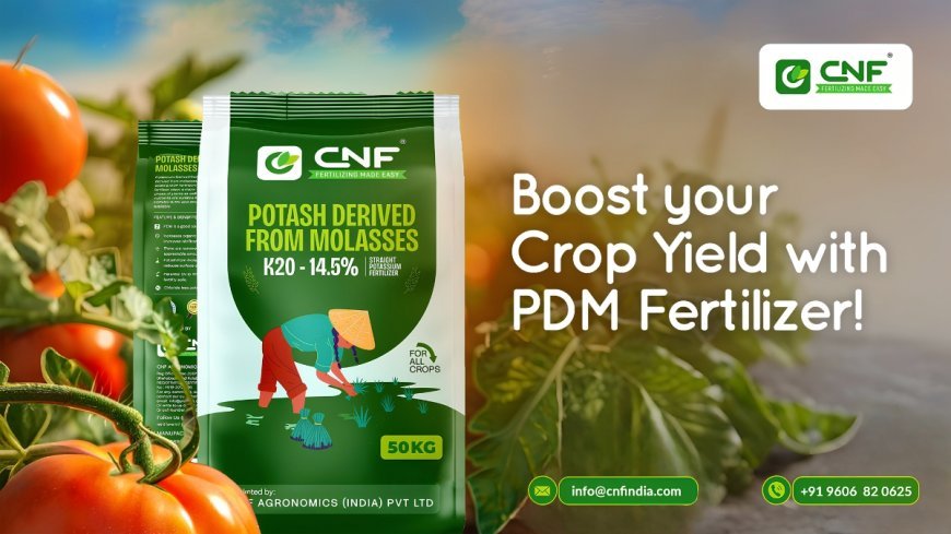CNF Phosphates Leads India’s Push Toward Self-Reliance With High-Quality PDM Production
